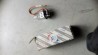 Żarówka Lampa halogenowa 12V H3 55W Fiat OE 14151590